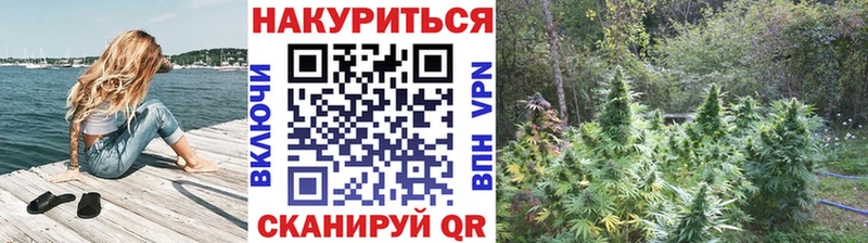Купить APVP  МЕФ  КОКАИН  ГАШИШ  Канабис  Новая Усмань