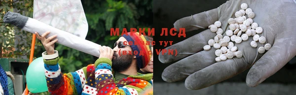 шишки Ельня