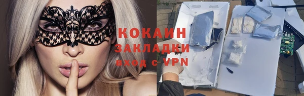 шишки Ельня