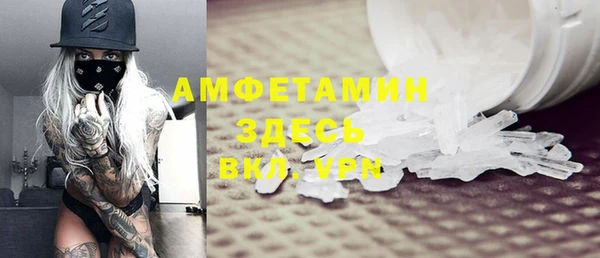 шишки Ельня