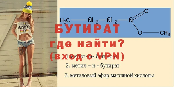 шишки Ельня