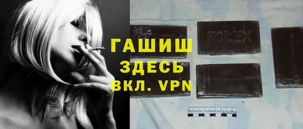 шишки Ельня