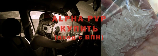 шишки Ельня