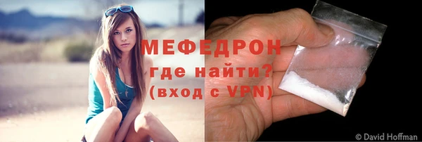 шишки Ельня