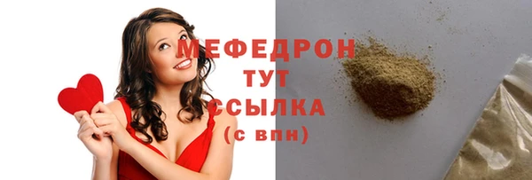 шишки Ельня