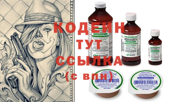 шишки Ельня