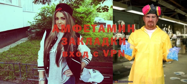 шишки Ельня