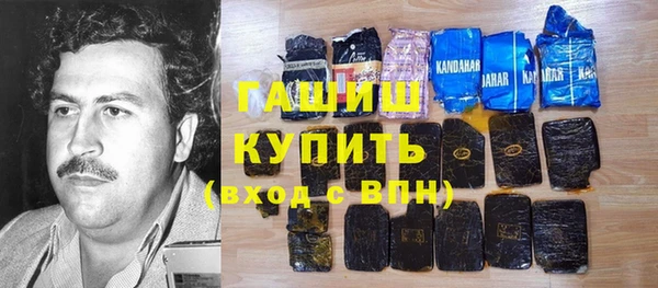 шишки Ельня
