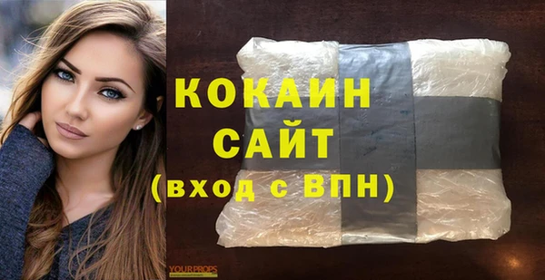 шишки Ельня
