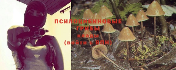 шишки Ельня