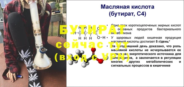 шишки Ельня